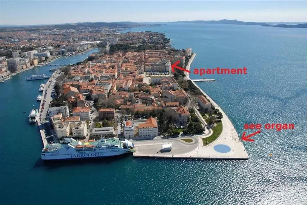 Viva Riva Zadar